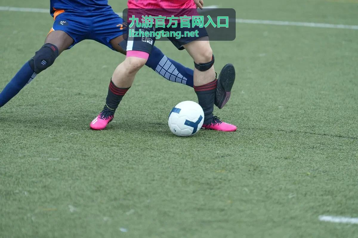 九游官方官网入口更新公告要点展示